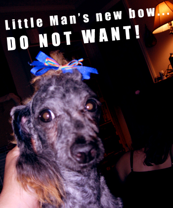 DO NOT WANT!!1