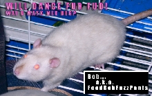 Will dance for fud