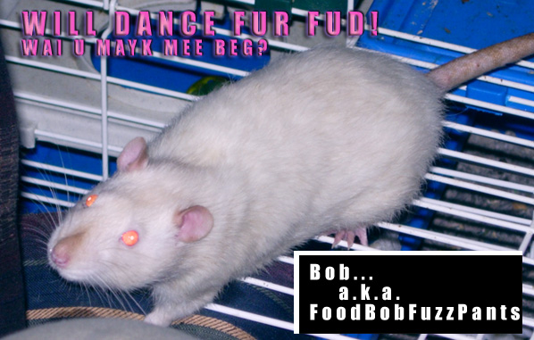 Will dance for fud