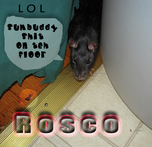 Crapt teh floor