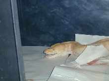 feed3