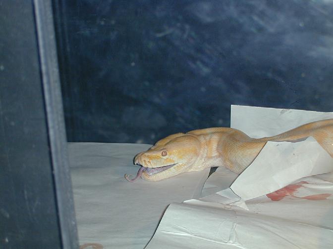 feed3