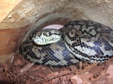 My mate Wilton!