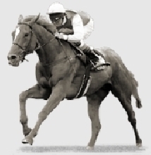 Racing
