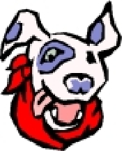 Pitty Smile