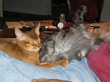 Antares and Ash #1