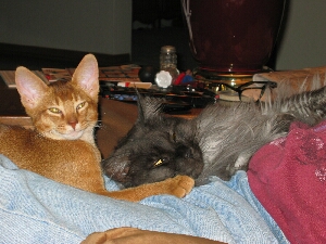Antares and Ash #2