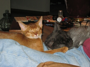 Antares and Ash #3
