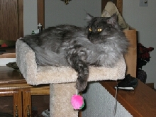 Ash On his Post