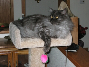 Ash On his Post