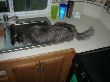 Ash cleaning out his bowl in the sink