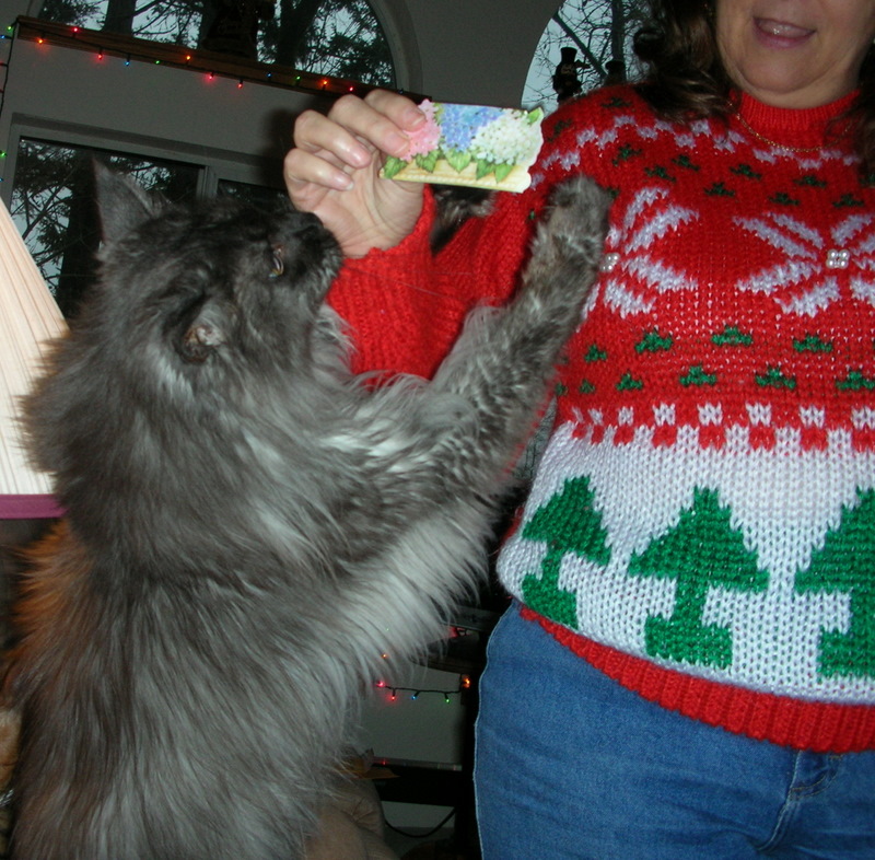 Ash wants that Nip