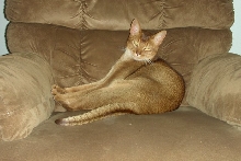 In Dad's chair