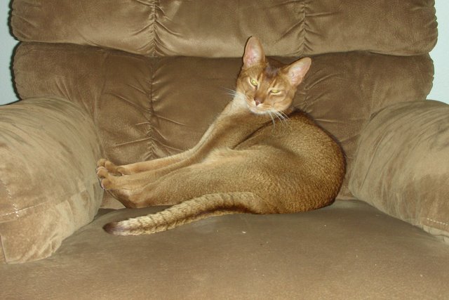 In Dad's chair