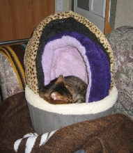 Beds - I haz dem all