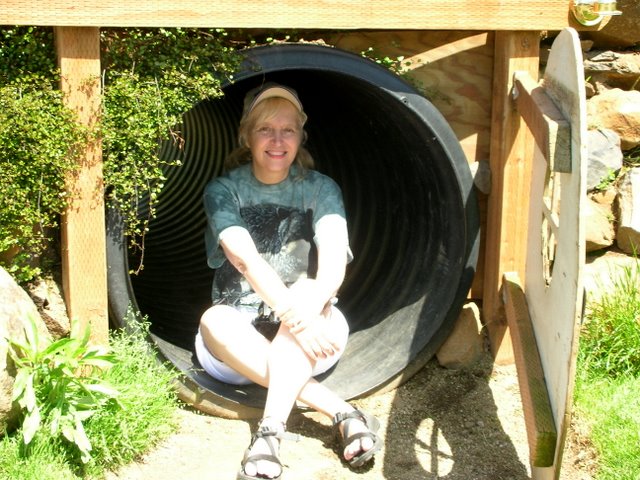 Portia at Oregon Gardens