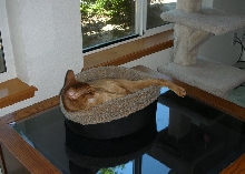 Tare in his Favorite Bed