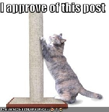 Cat Post