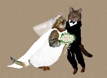 Zade & Justin's Wedding Portrait