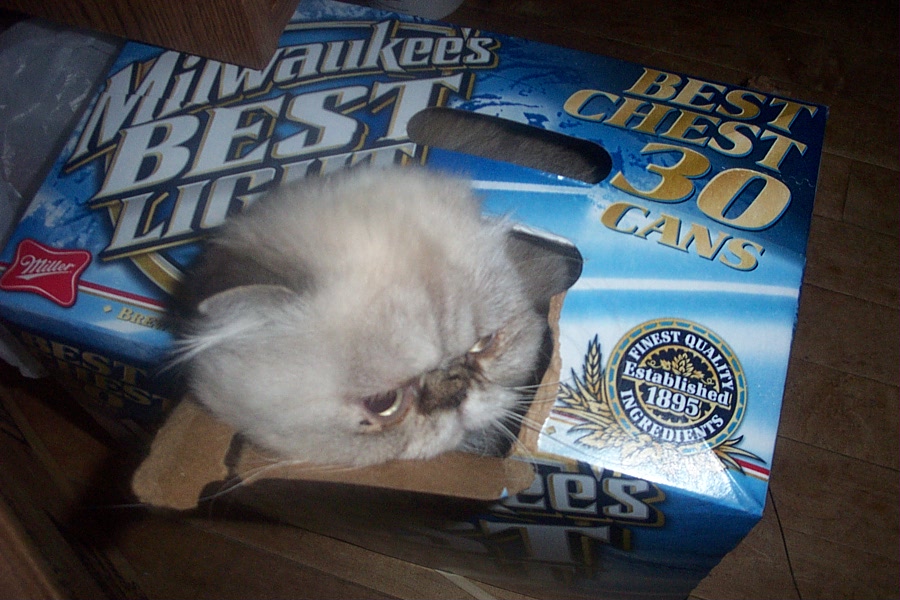 Peekaboo!