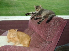 Clarence & Raymond