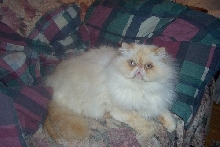 Russell