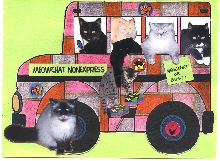 The Bus