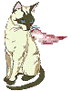 butterflycat