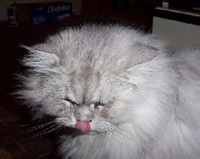 Ferris  (shaded silver)