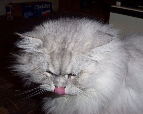 Ferris  (shaded silver)