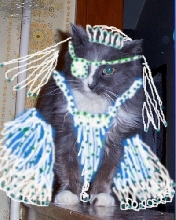 CindeLu's wedding portrait