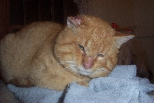 Clarence