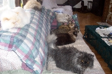 All in a Row