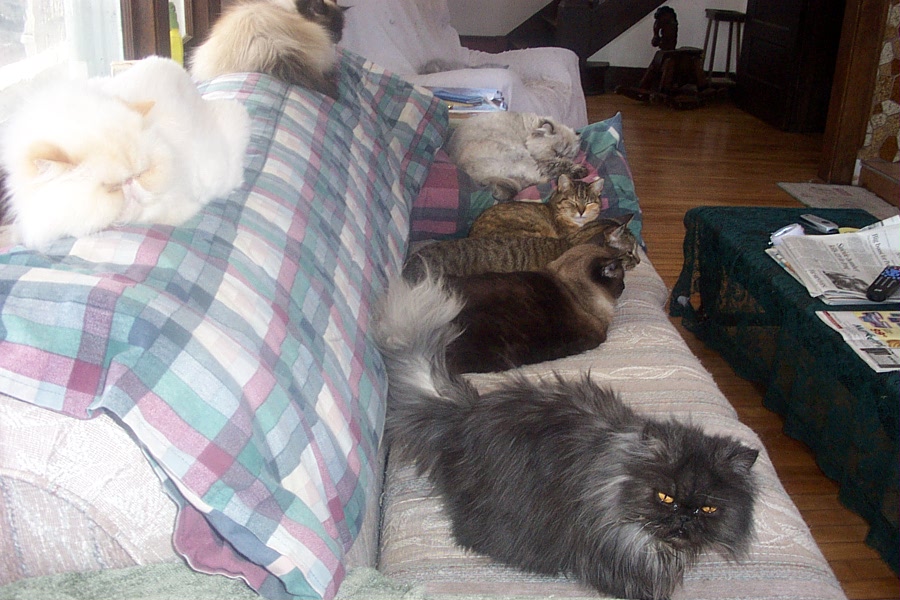 All in a Row