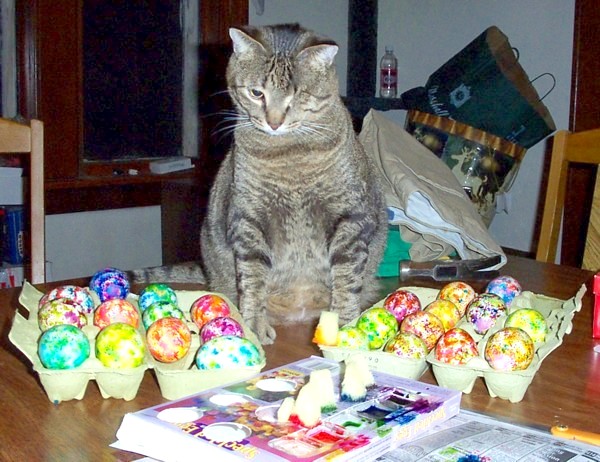 Hoppy Easter!