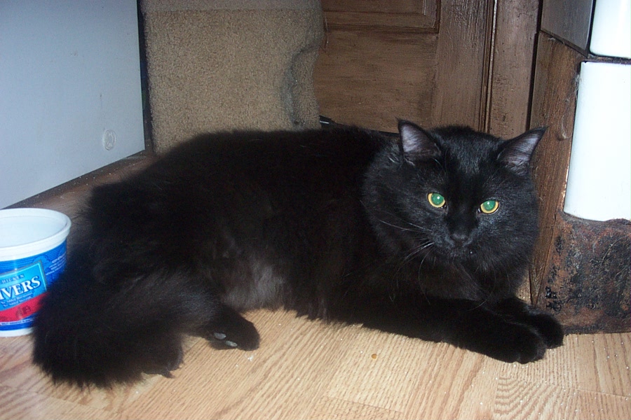 Ebbie