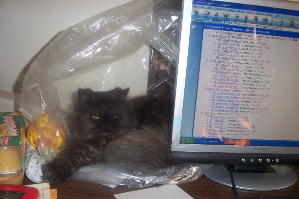 Graci inna bagg