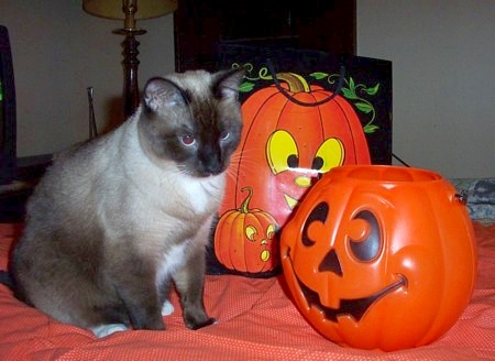 Boo!