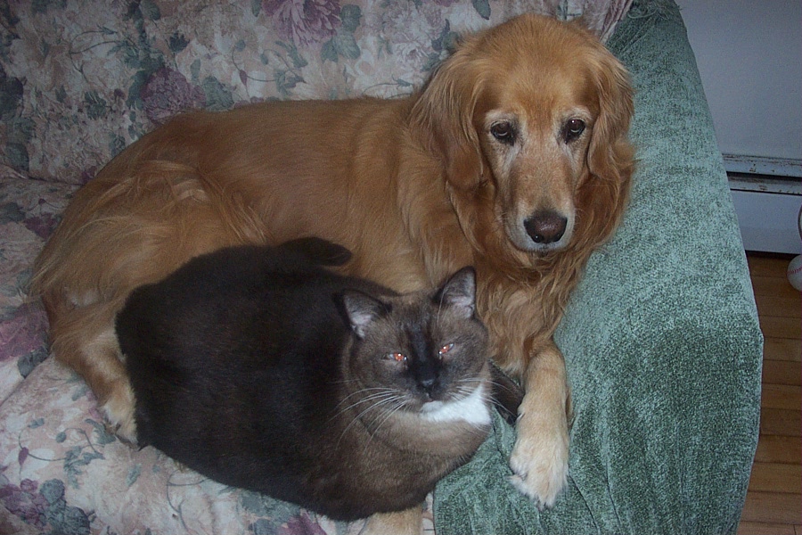Kelby and Kaeli