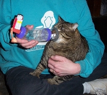 Larry gets his meds