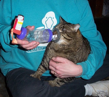 Larry gets his meds