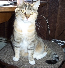 MaggieMay