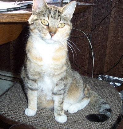 MaggieMay