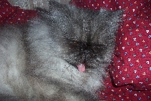 Grace waking up