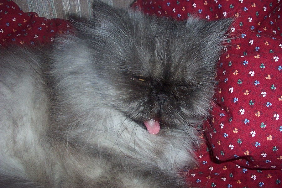 Grace waking up