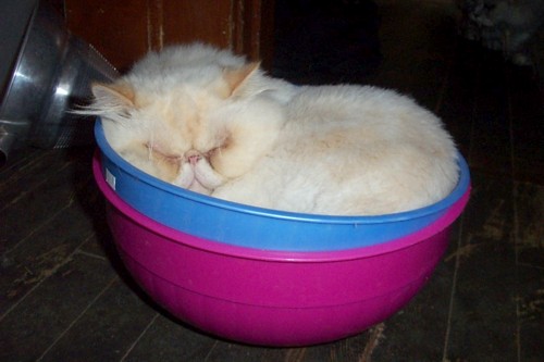 Bowled Over
