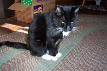 Sam