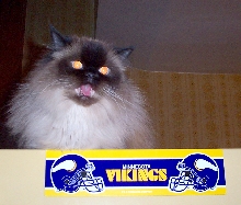 Scary Nikki