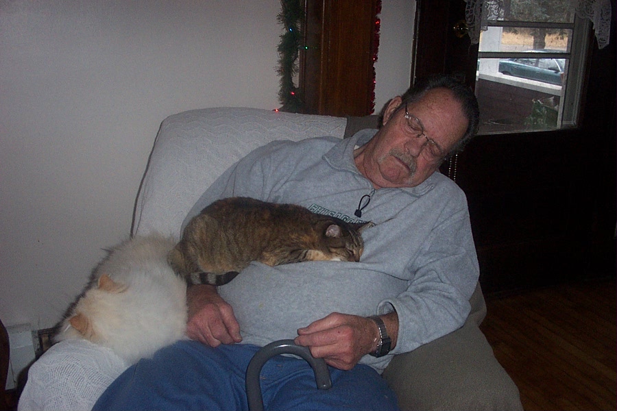 Papa and kitties