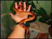 Here he is 90cm !